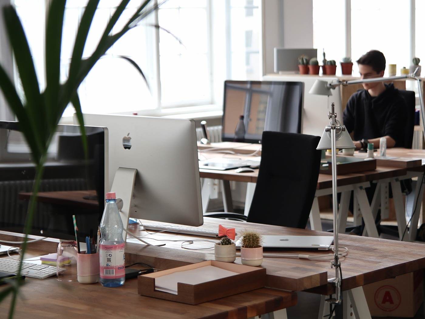 The Olive Studio team